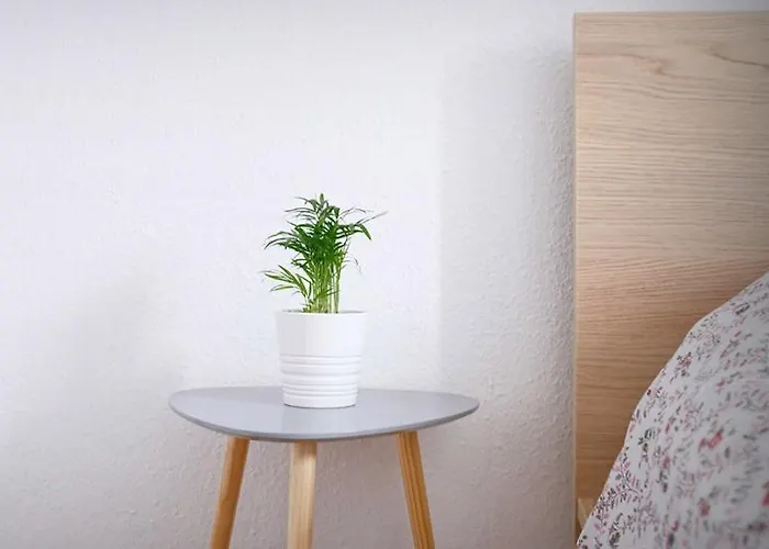 Daire Tandem Puerto Chico Cadiz